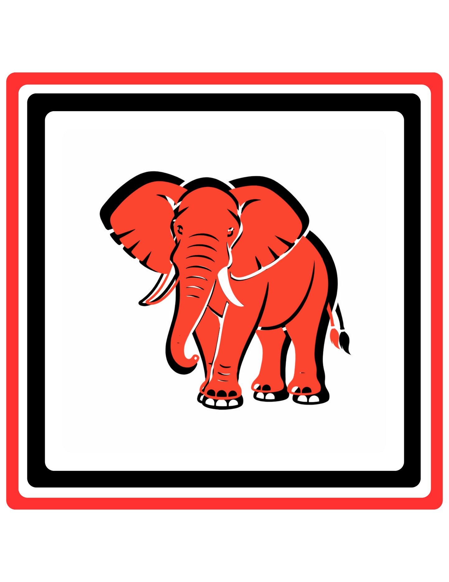Black, White & Red Flash Cards for Babies 3+ Months | High-Contrast Visual Stimulation Cards