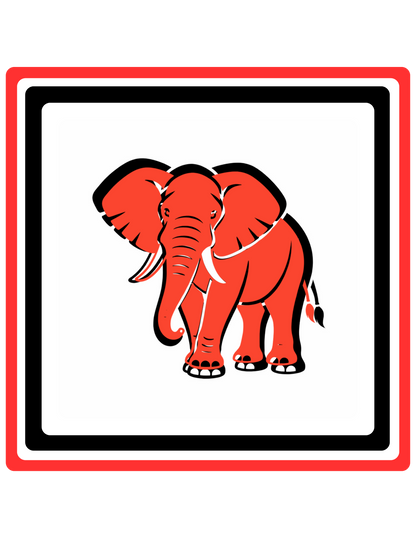 Black, White & Red Flash Cards for Babies 3+ Months | High-Contrast Visual Stimulation Cards